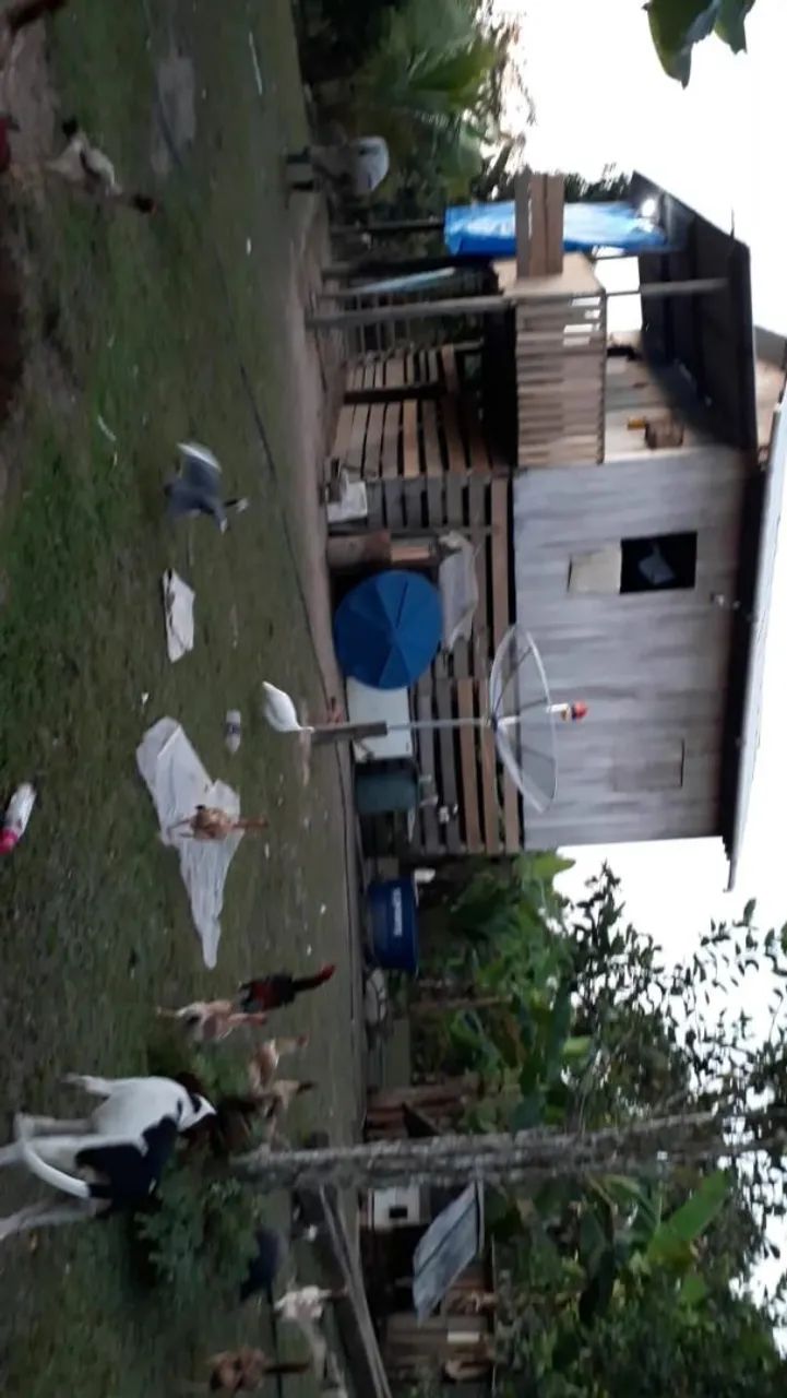 Vendo duas colônias. - Foto 3
