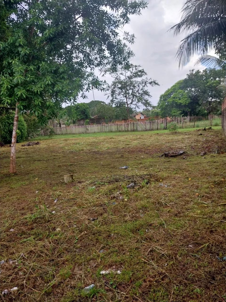 Ótimo terreno em mosqueiro  - Foto 4