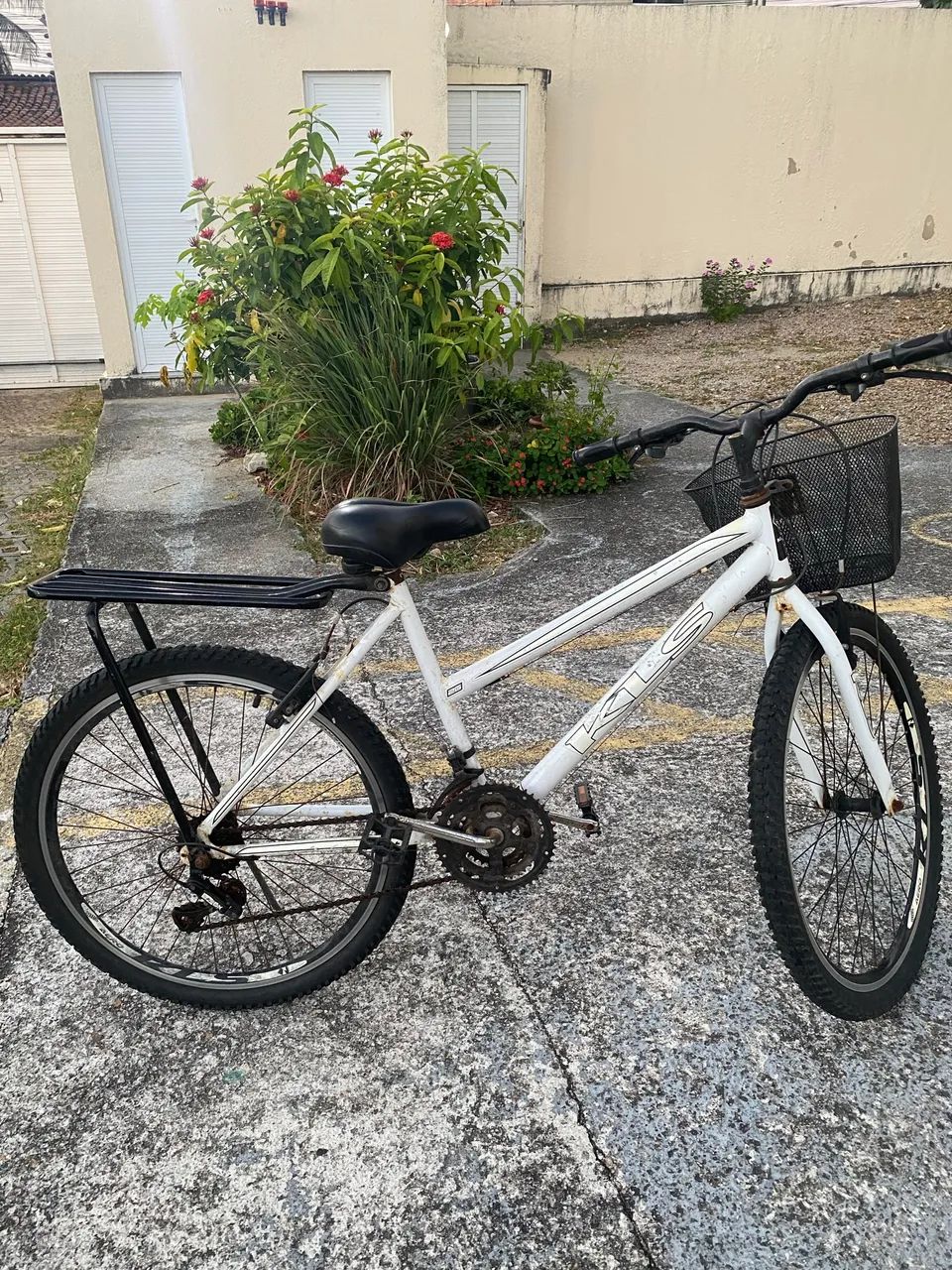 Bicicleta