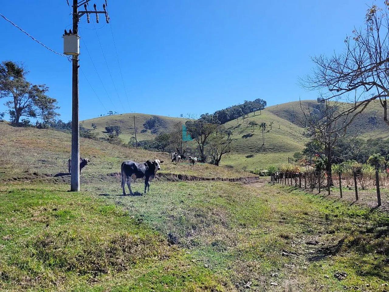 SÍTIO FORMADO COM ESTRUTURA PARA LEITE OU CORTE EM LORENA-SP - Foto 5