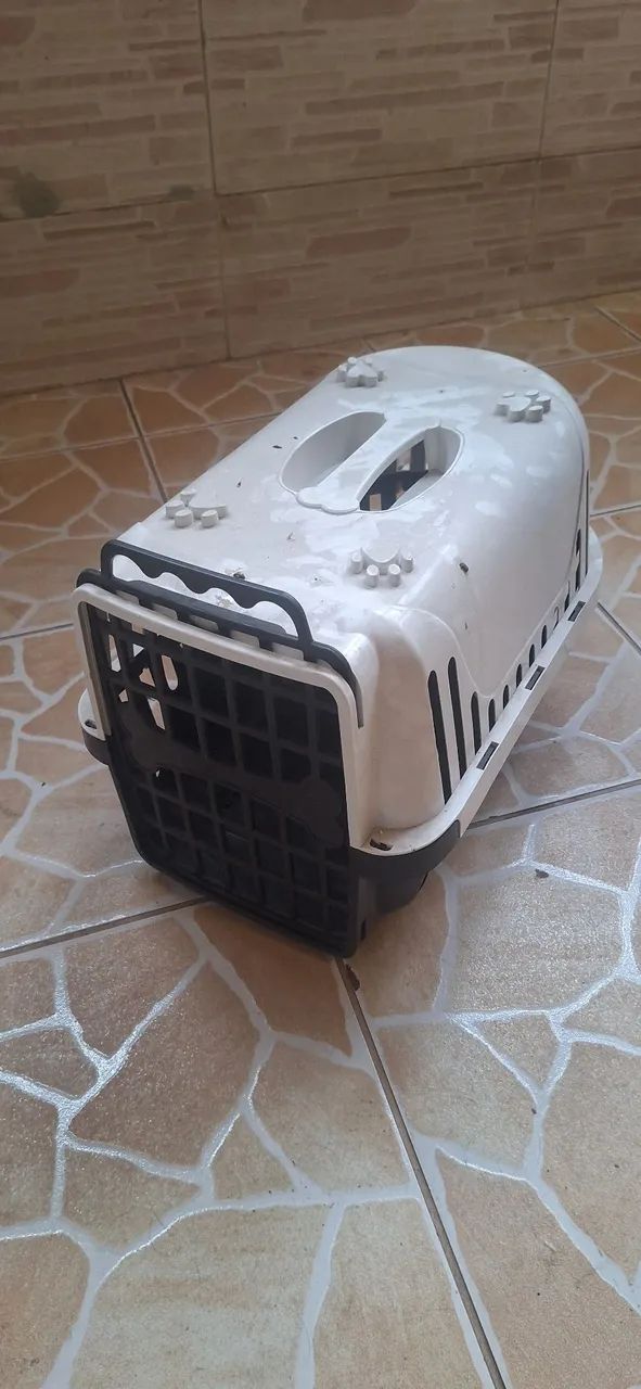 Transporte de Pets