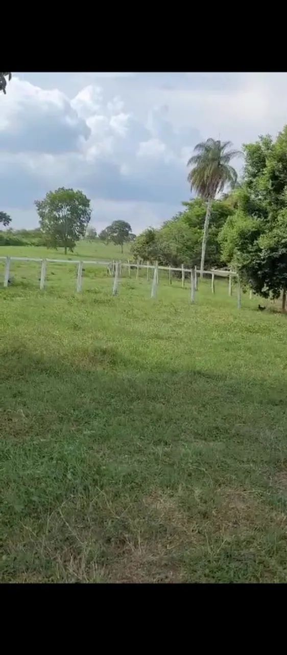 Fazenda no Maranhão 