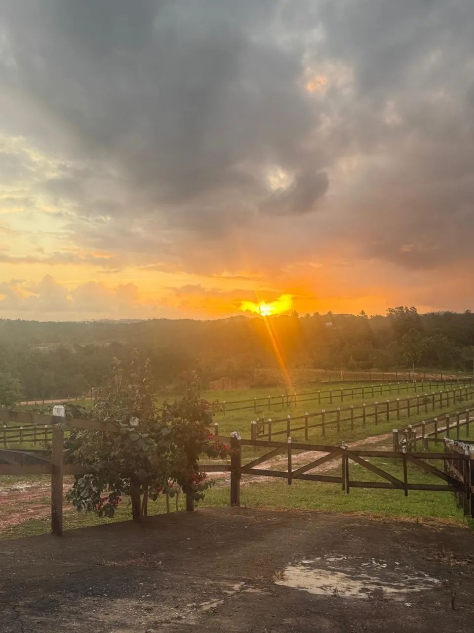 Rancho a venda sítio  - Foto 2