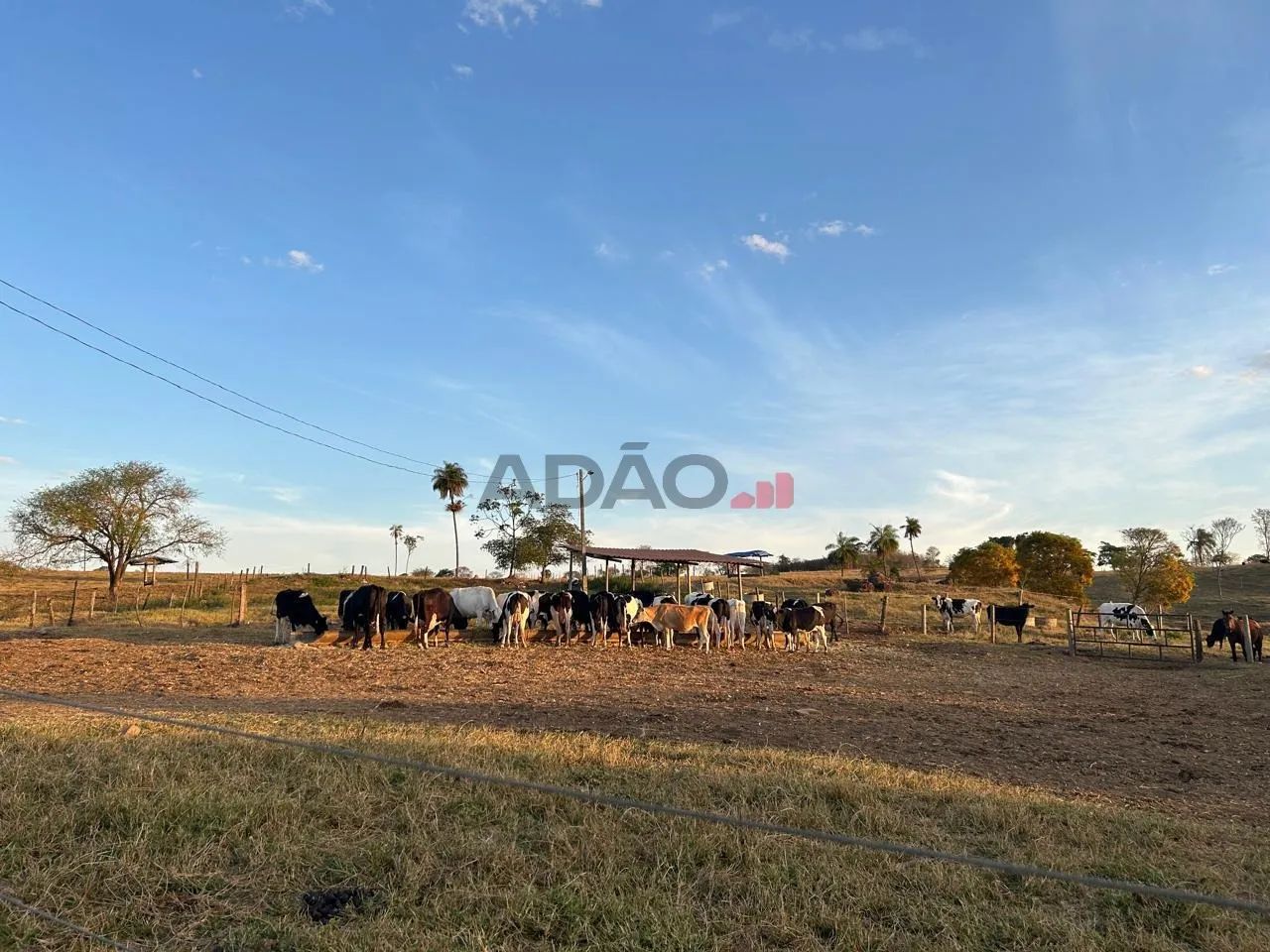 Fazenda em Guapó-GO - Foto 5