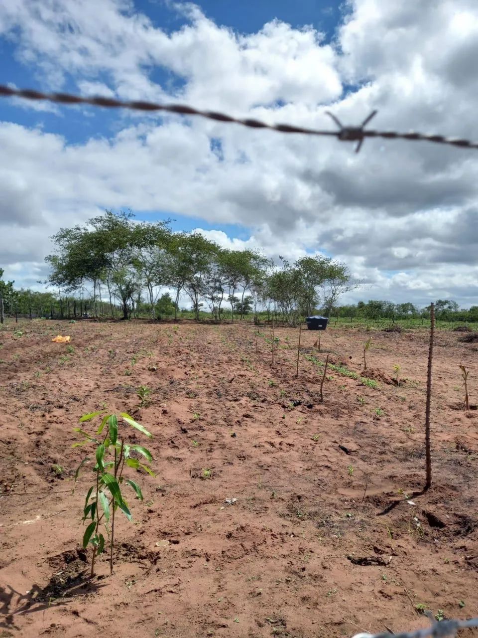 Terreno em Euclides da Cunha - Foto 2