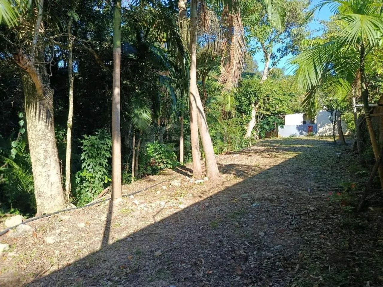 Terreno para Venda em Florianópolis, Pantanal - Foto 5