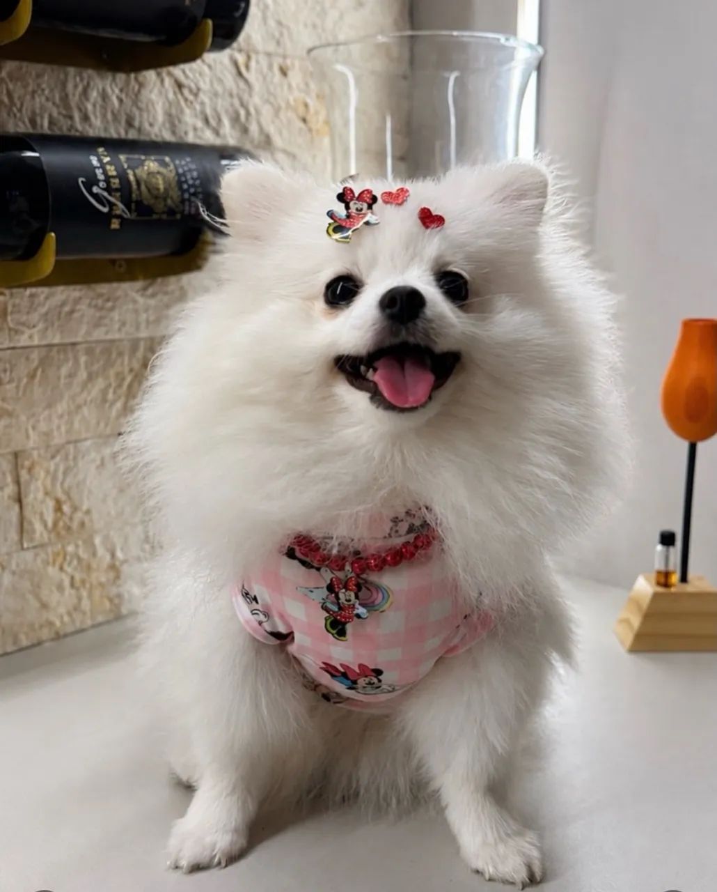 Luluzinha 