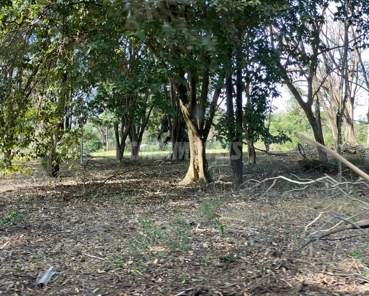 área - Pirapitingui - Santo Antônio de Posse - Foto 4