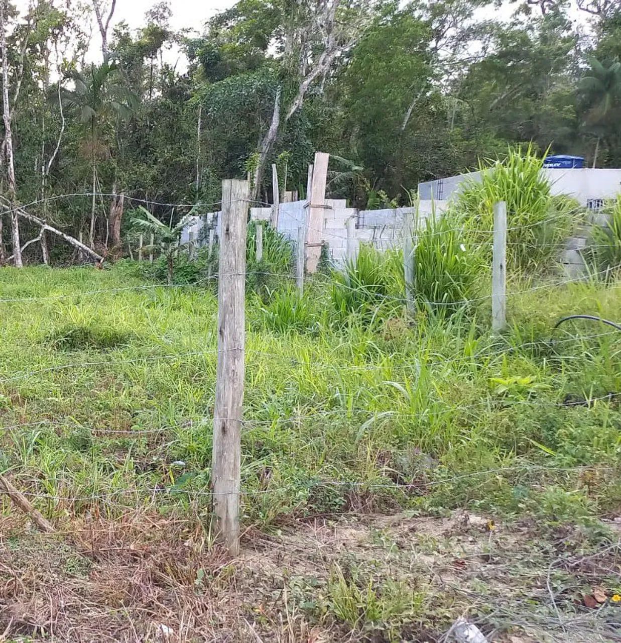 Terreno em Ubatuba  - Foto 5