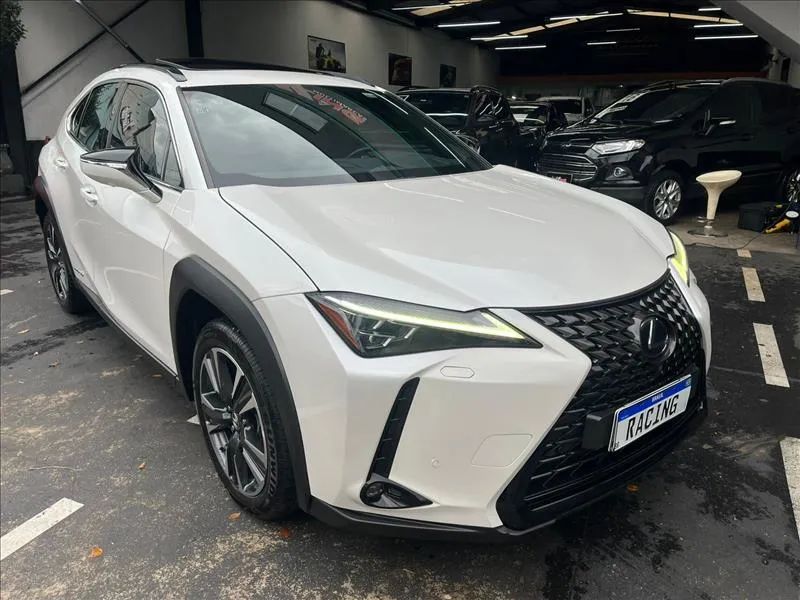 Lexus UX-250h Luxury 2.0 16V Aut.(hybrid), foto 3 de 13