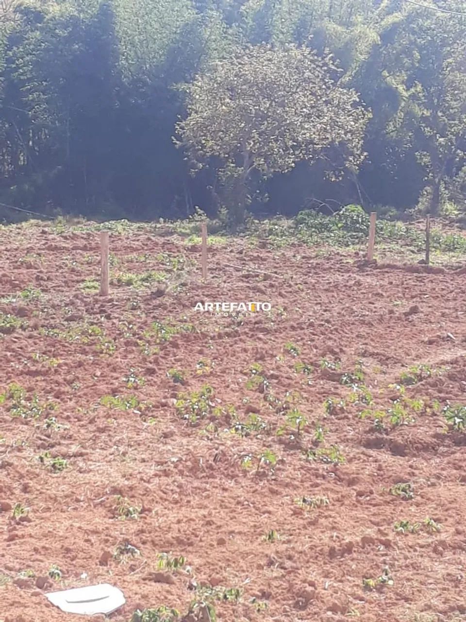 FAZENDA A VENDA EM VARGEM BONITA - Foto 4