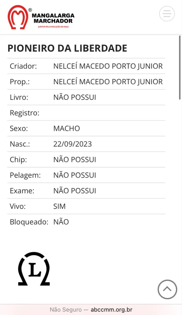 POTRO MM neto do Lótus da Catimba!!! - Foto 3