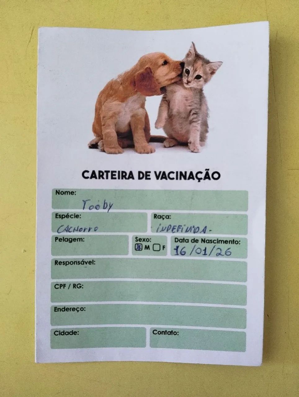 Doação  - Foto 3