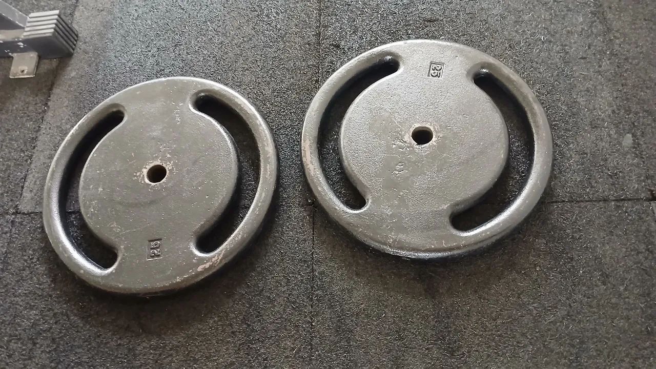 Anilhas de 25kg a 8,00 o kilo