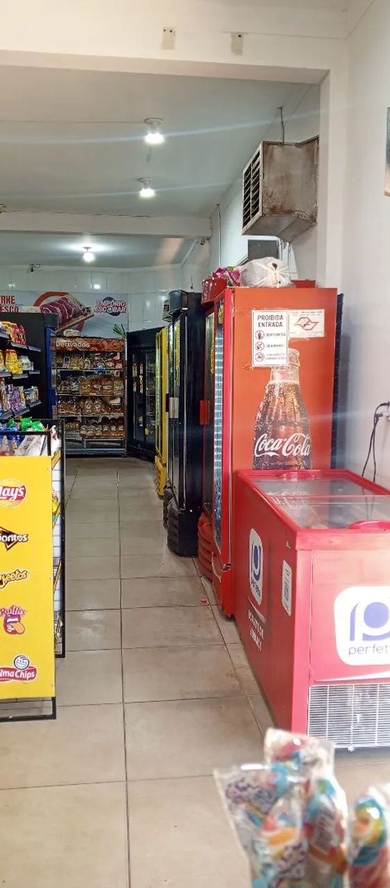 Passo o Ponto: Mercado Montado e Faturando com Açougue Completo - Foto 3