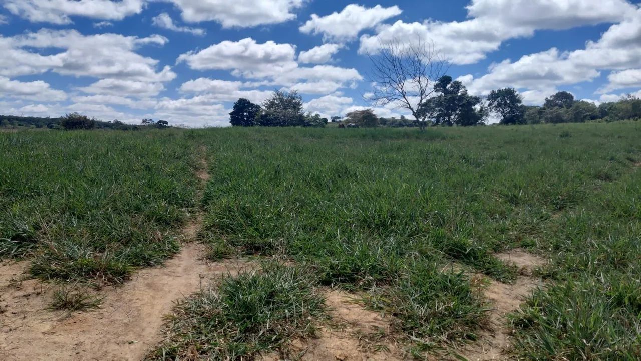 Fazenda em tapiramulta 