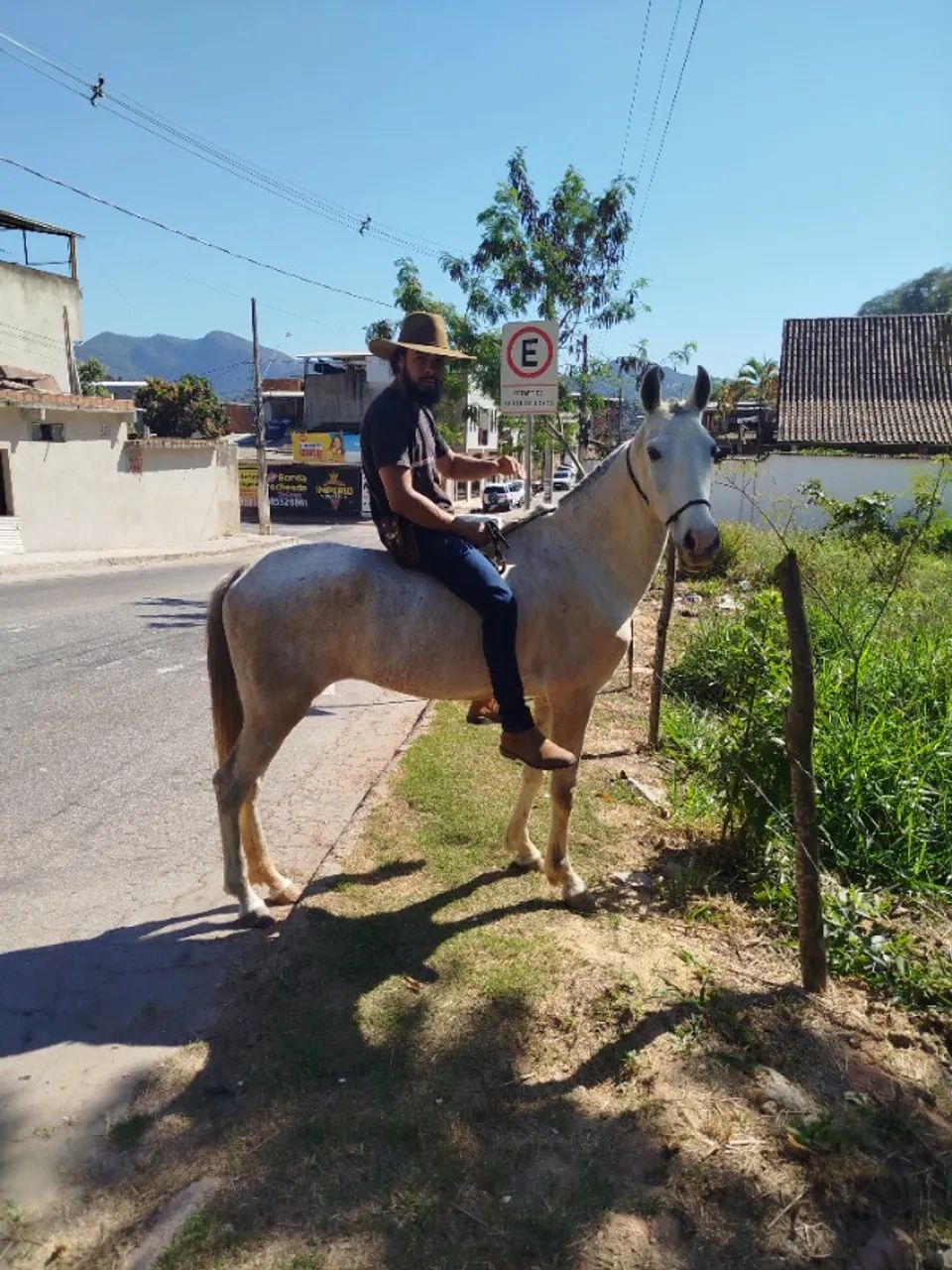 Cavalo - Foto 2