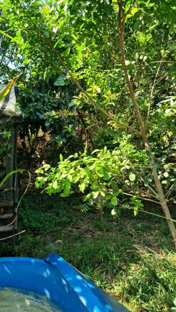 Vendo Área Rural 30.000m2 - Foto 5