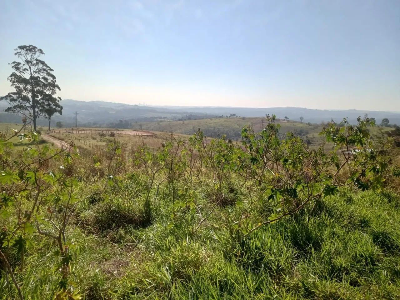 Terreno em Piedade aceito carro - Foto 5