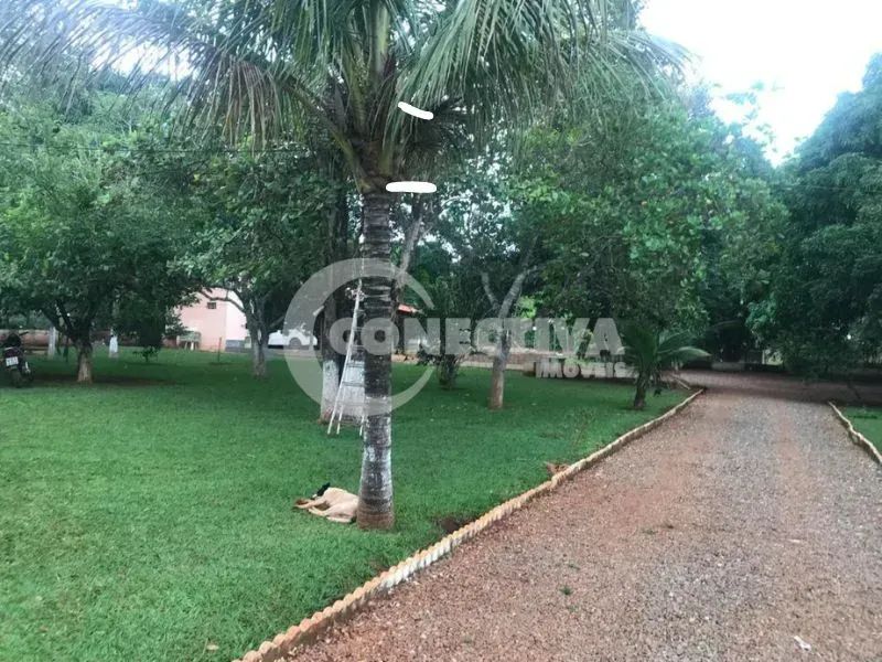 CHÁCARA PARQUE MARACANÃ - 3000 m2  - Goiânia - GO - Foto 2