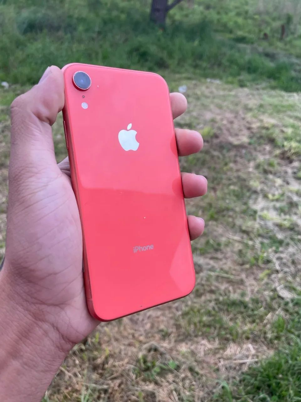 iPhone XR 