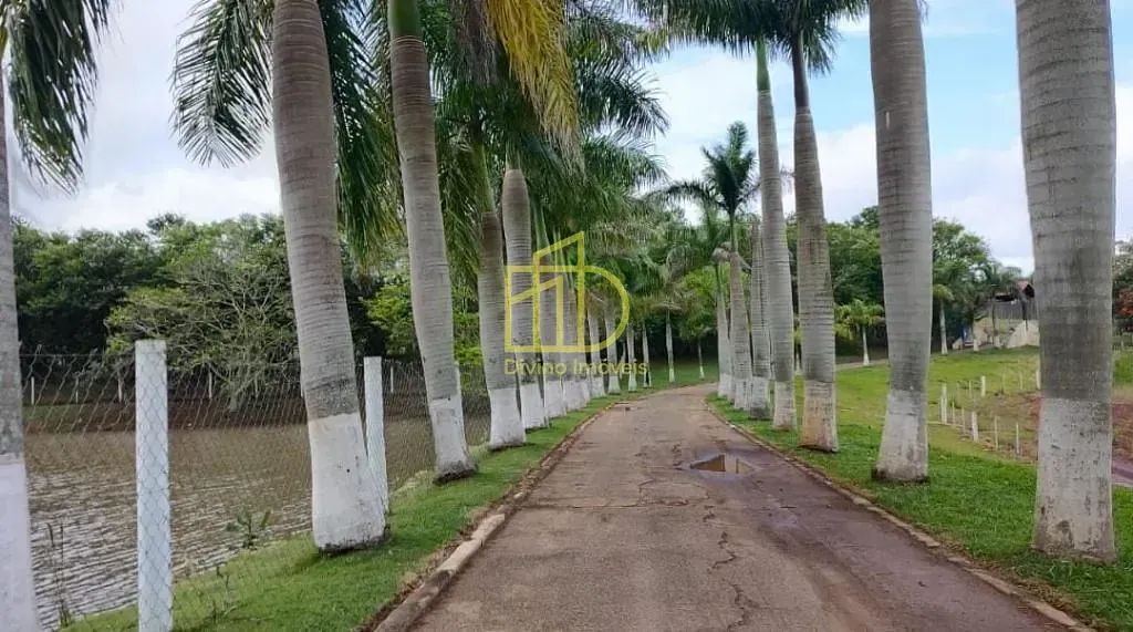 Fazenda à Venda - Angatuba/SP - Foto 2