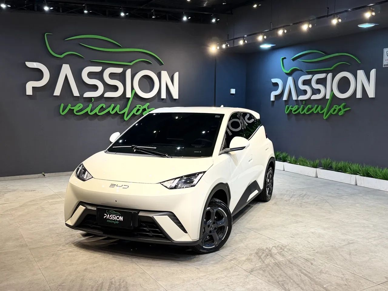 BYD Dolphin Mini (Elétrico) 2025