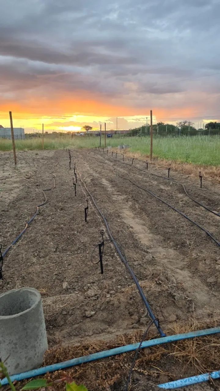 Terreno para chácara 1.200m² - Foto 5