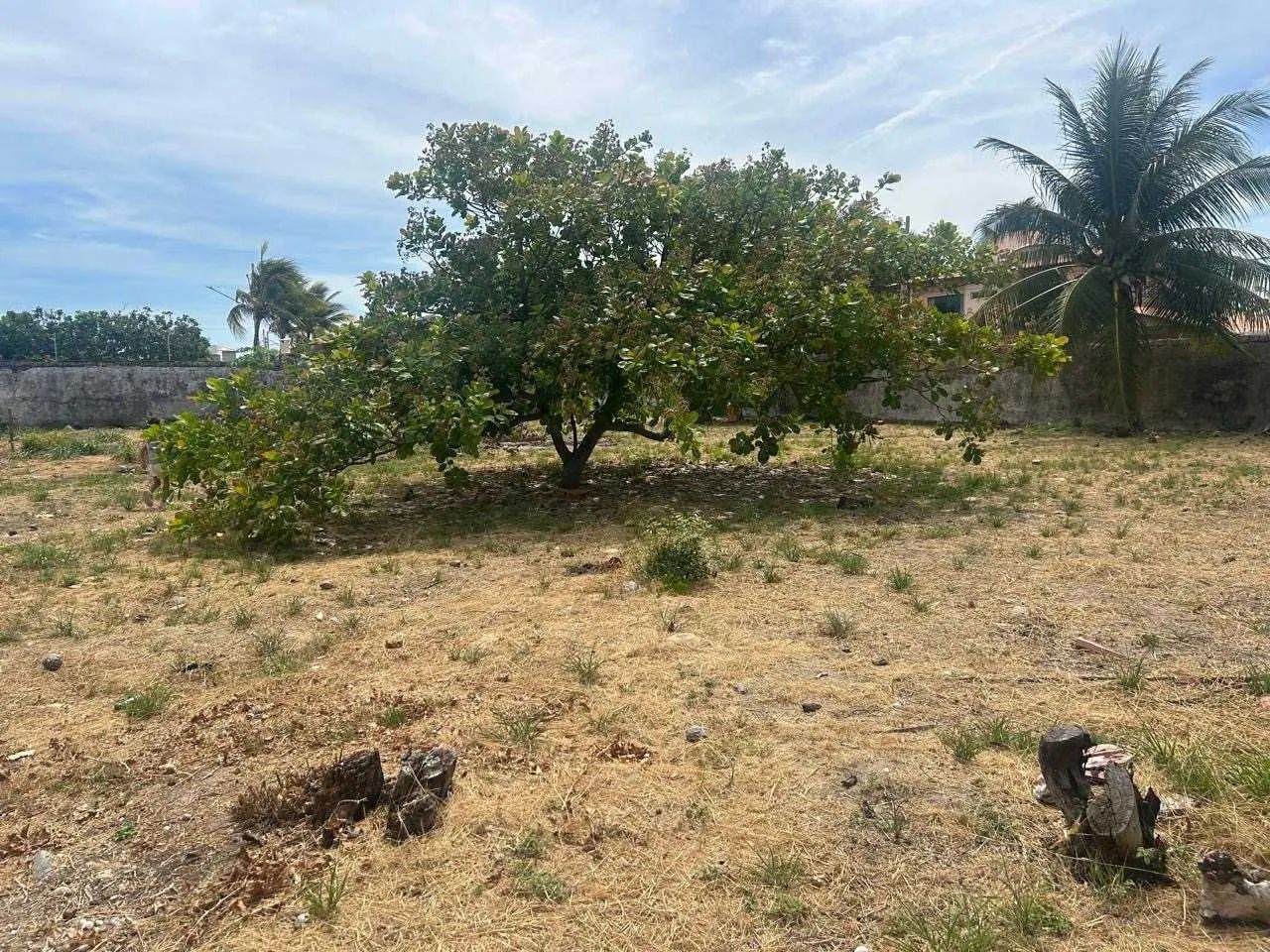 Lote perto da praia na Aruana [11680] - Foto 5