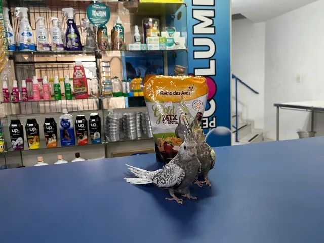 Gaiola para calopsita Mônaco - Foto 3