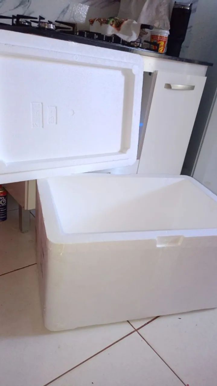 Caixa de isopor usadas 100 litros  - Foto 5