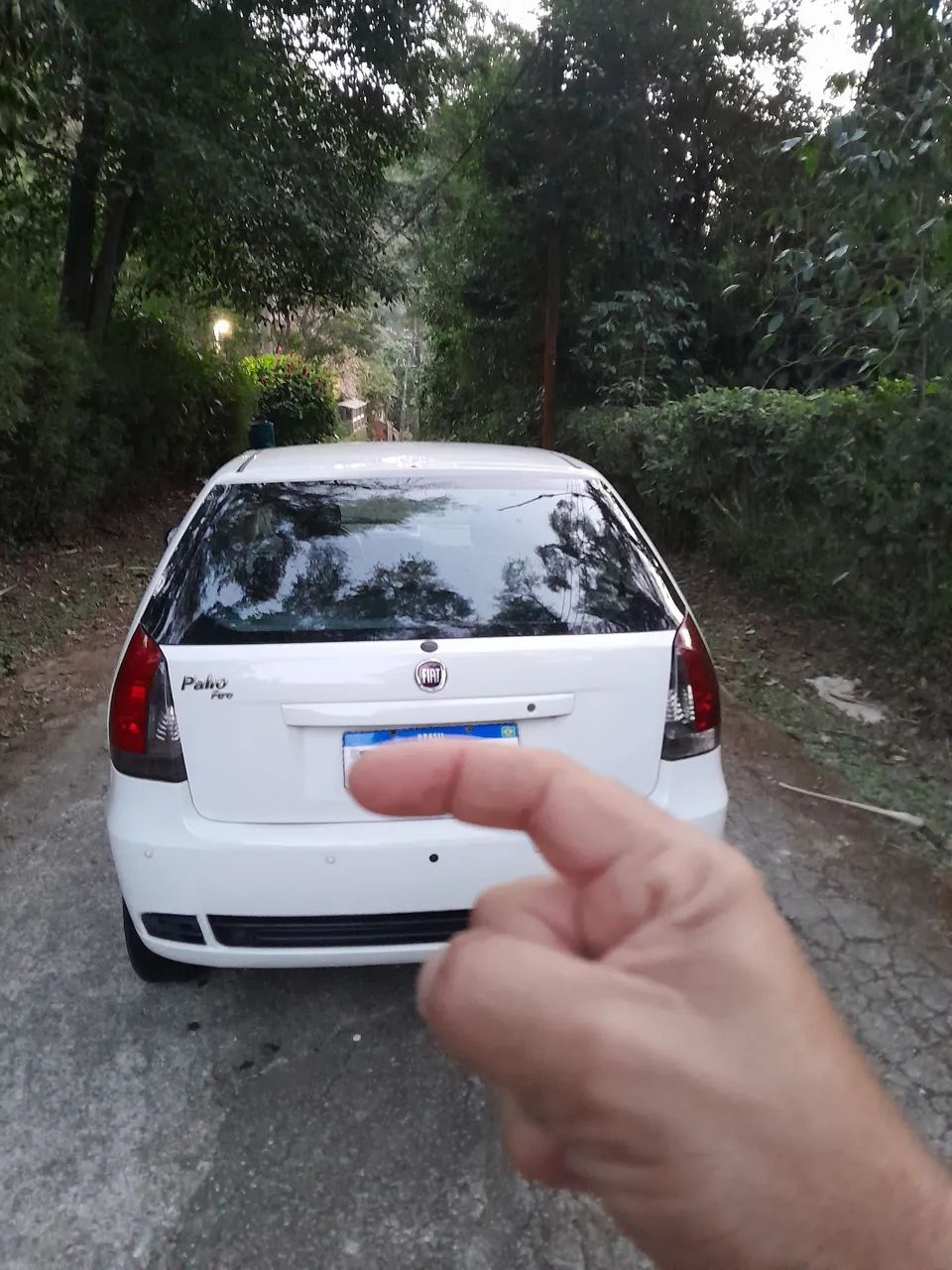 Fiat Palio 2015