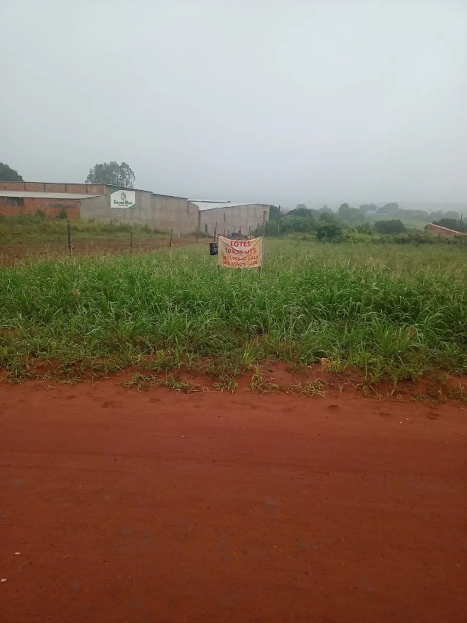 Terreno em Arapiraca 1000 m2 - Foto 3