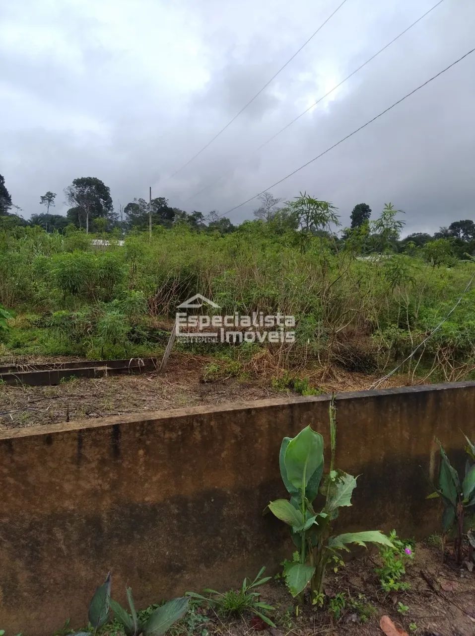 Oportunidade à VENDA CHÁCARA em CANDEIAS - Foto 5