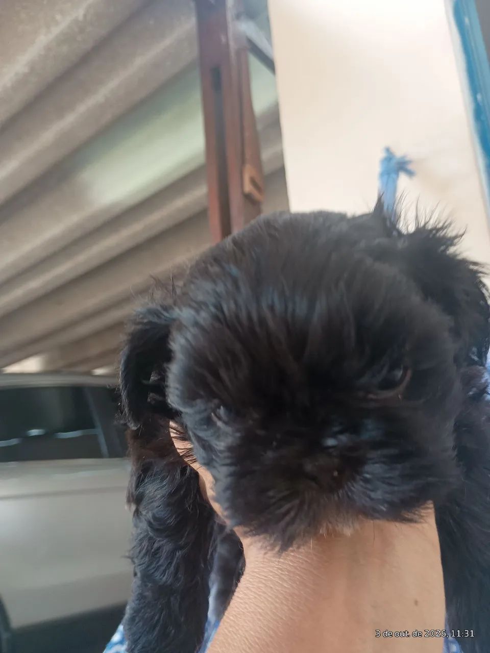 2 lindo machinho  - Foto 5
