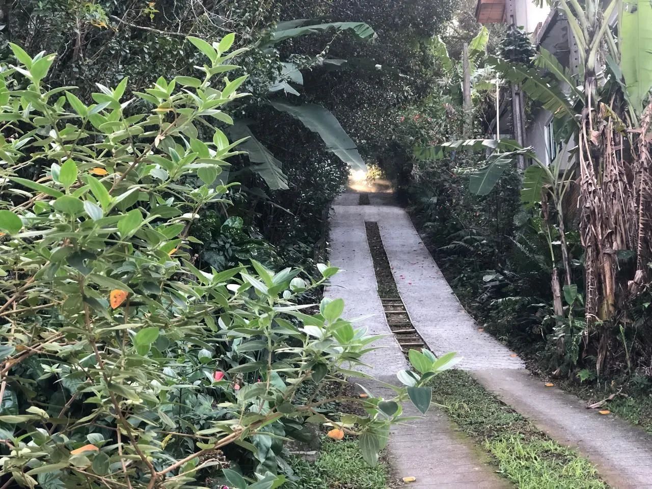 Terreno Ribeirão da Ilha  - Foto 3
