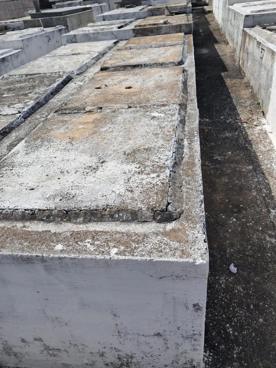 Jazigo  - Foto 2