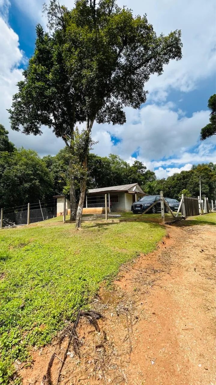 Foto - Mandirituba - 