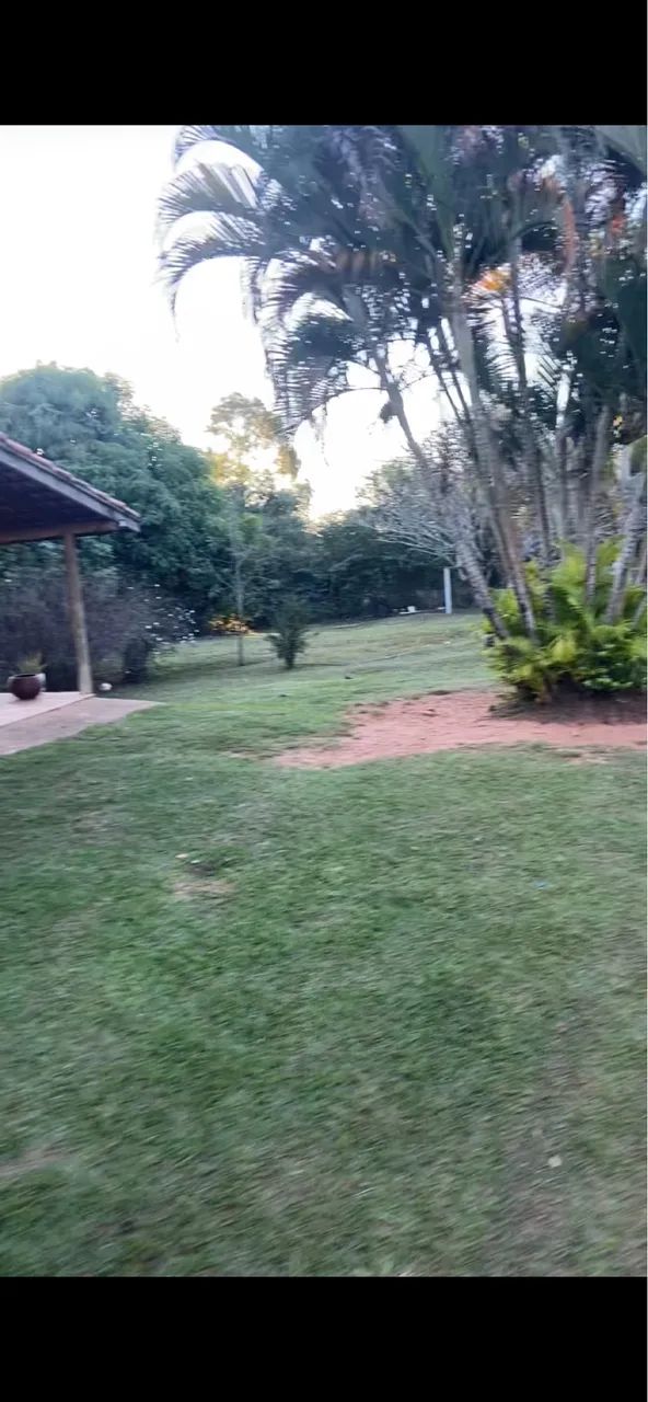Jardinagem  - Foto 3