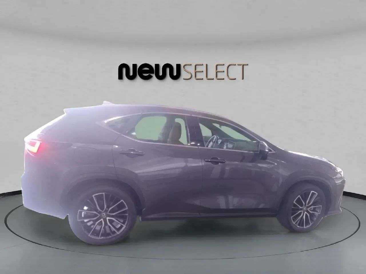 Lexus NX-450h+ AWD 2.5 16V Aut. (Híbrido), foto 6 de 15