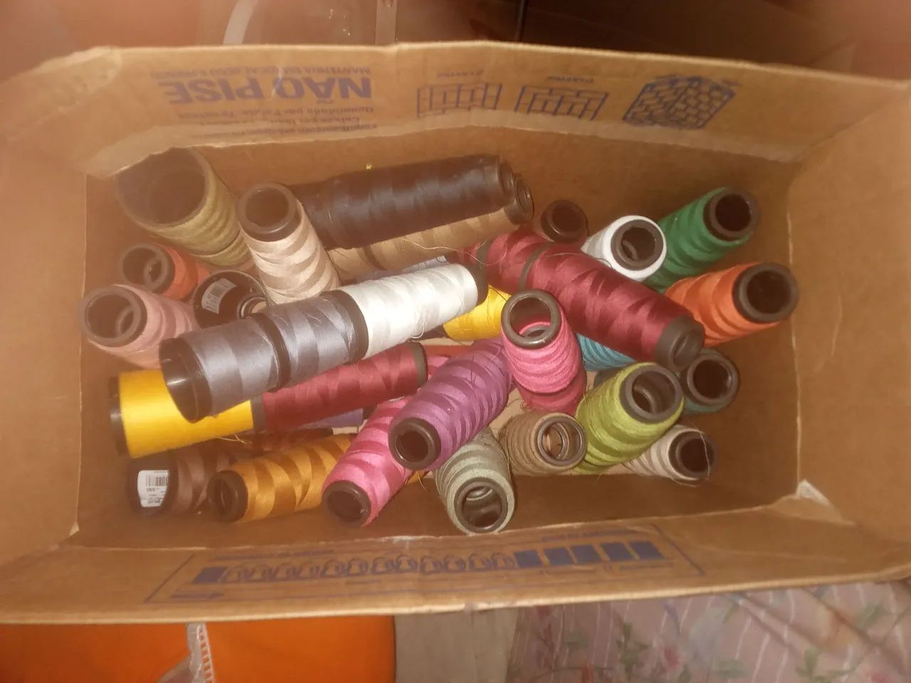 Linhas - Foto 4