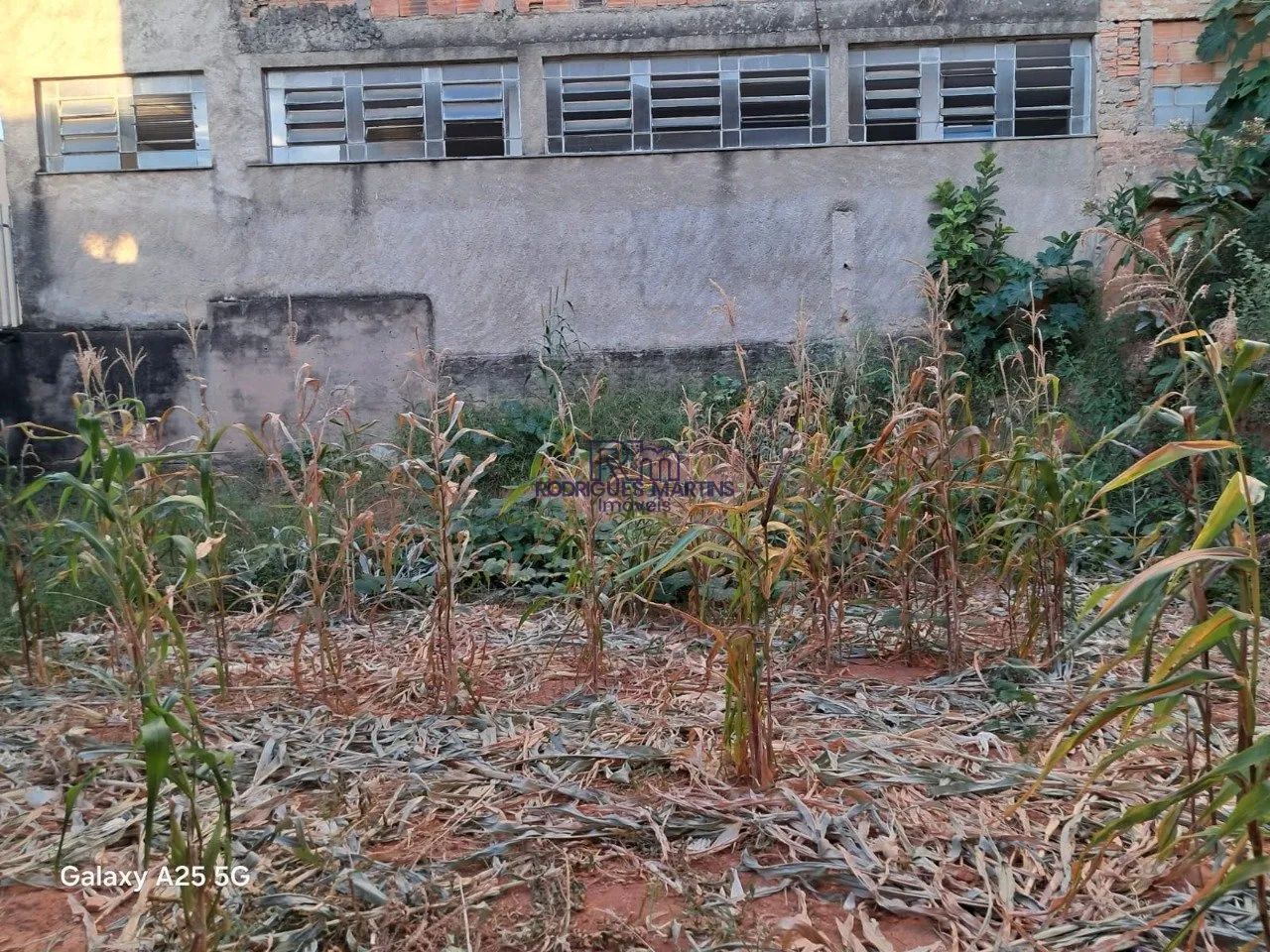 Lote 360m² à venda no Carlos Prates - Foto 4