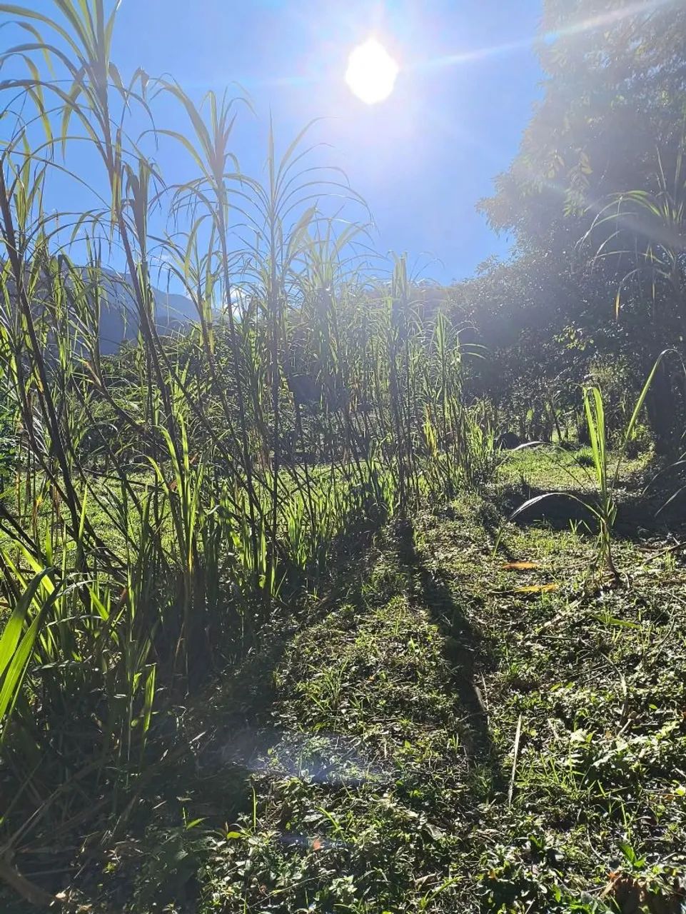 ?Oportunidade única em Cachoeiras de Macacu! ? - Foto 4