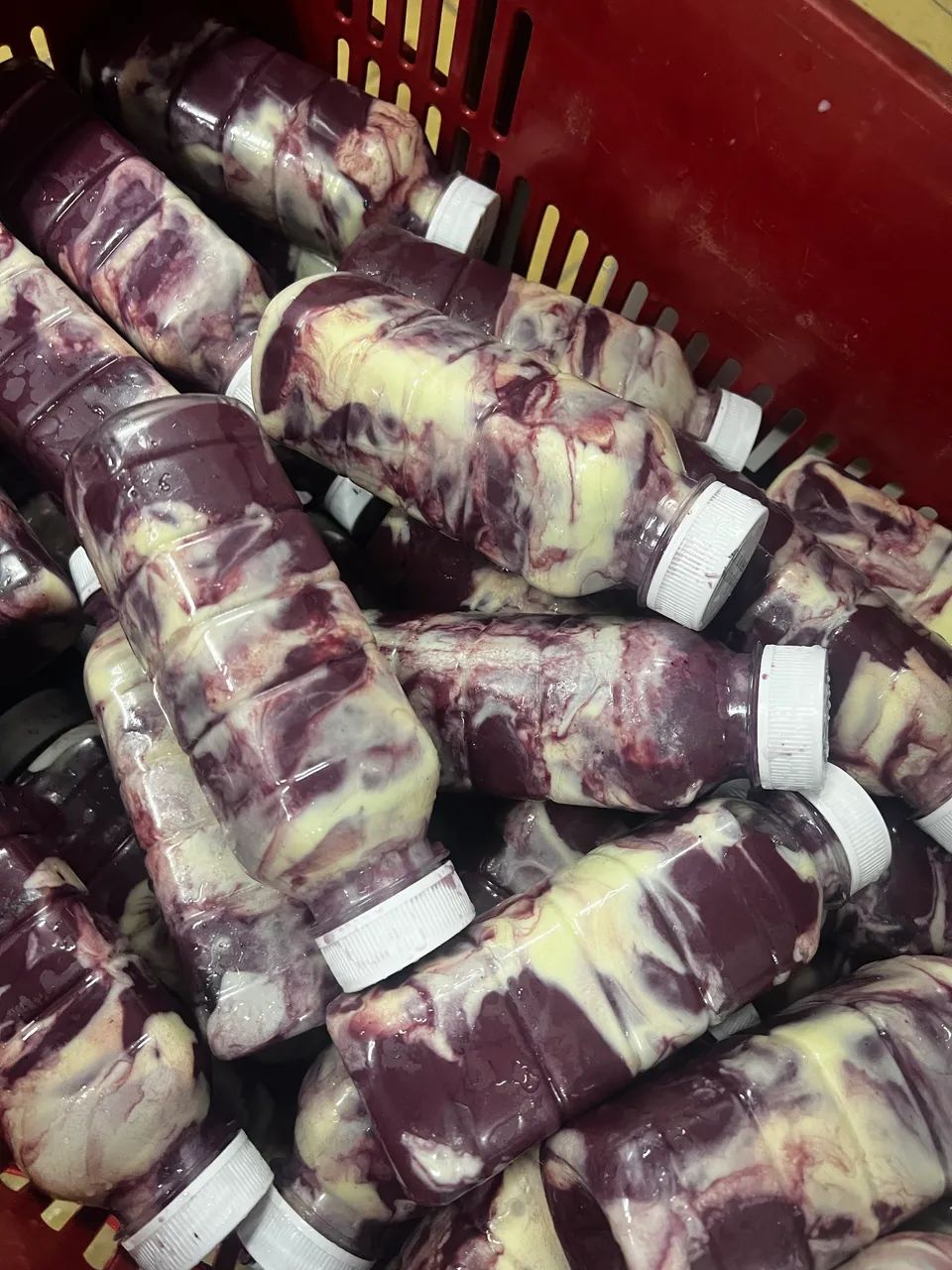 Açaí, Cremes e Sorvetes - Atacado - Foto 3