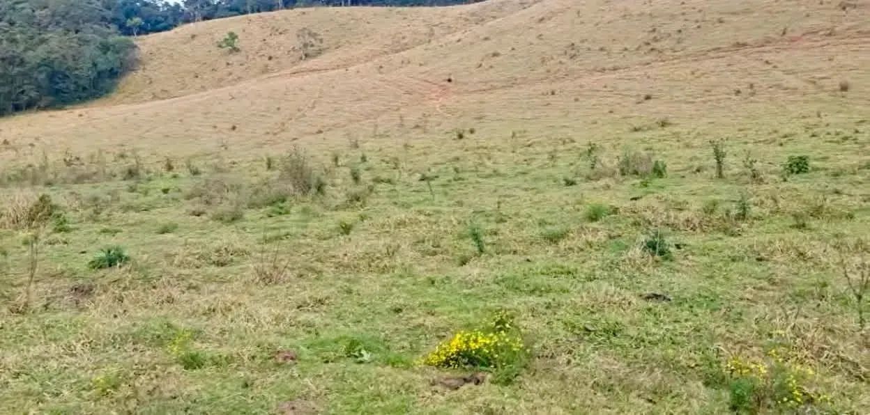 Alpes de monte verde - Foto 5