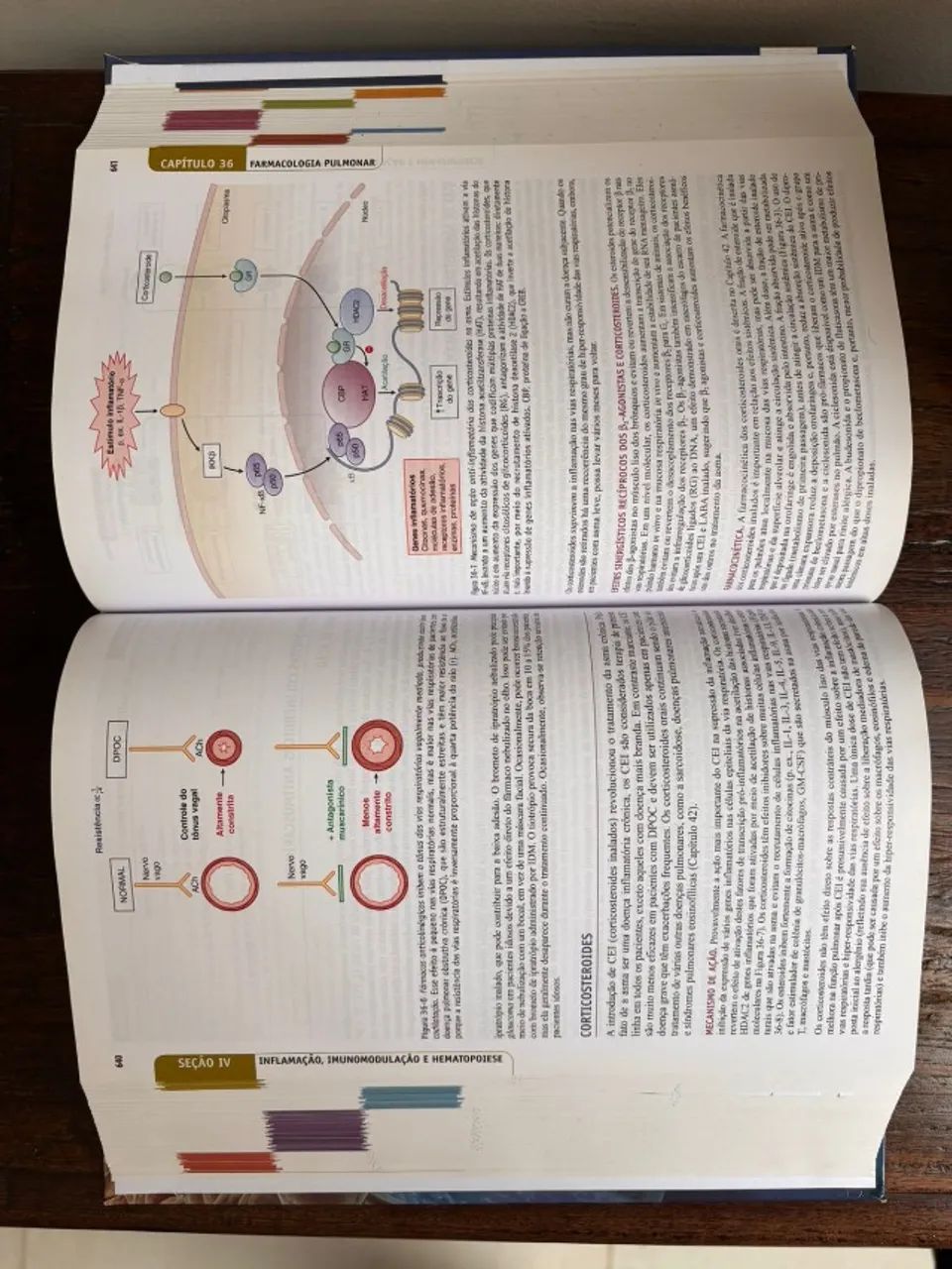 Manual de Farmacologia e Terapêutica de Goodman & Gilman, 2ª edição - Foto 2