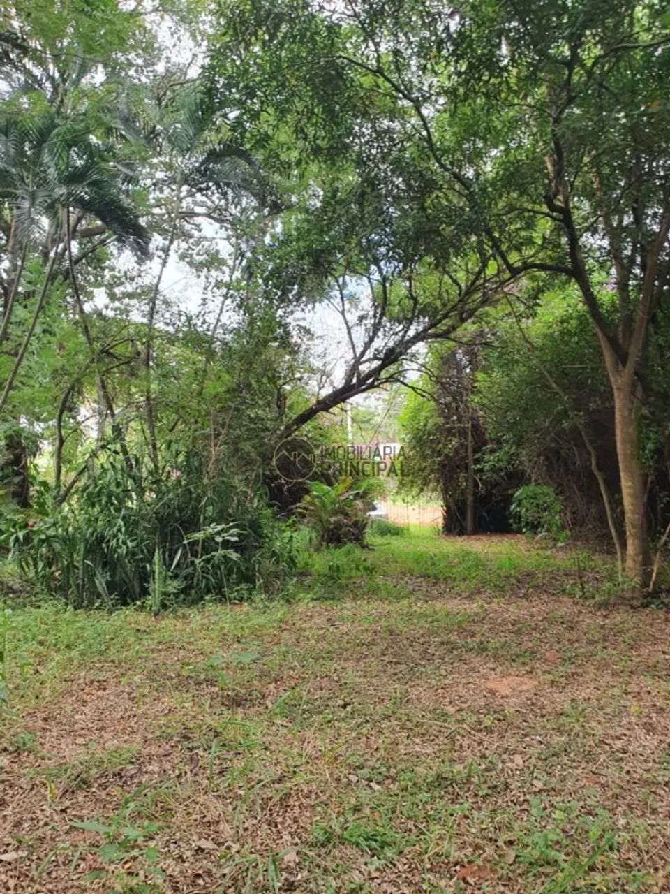 Chácara para venda com 5000 m² e 3 quartos em Chácaras Renno, Piratininga - SP - Foto 4