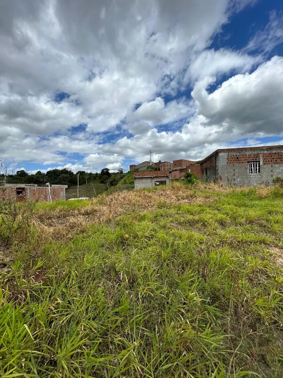 Terreno Paudalho  - Foto 2