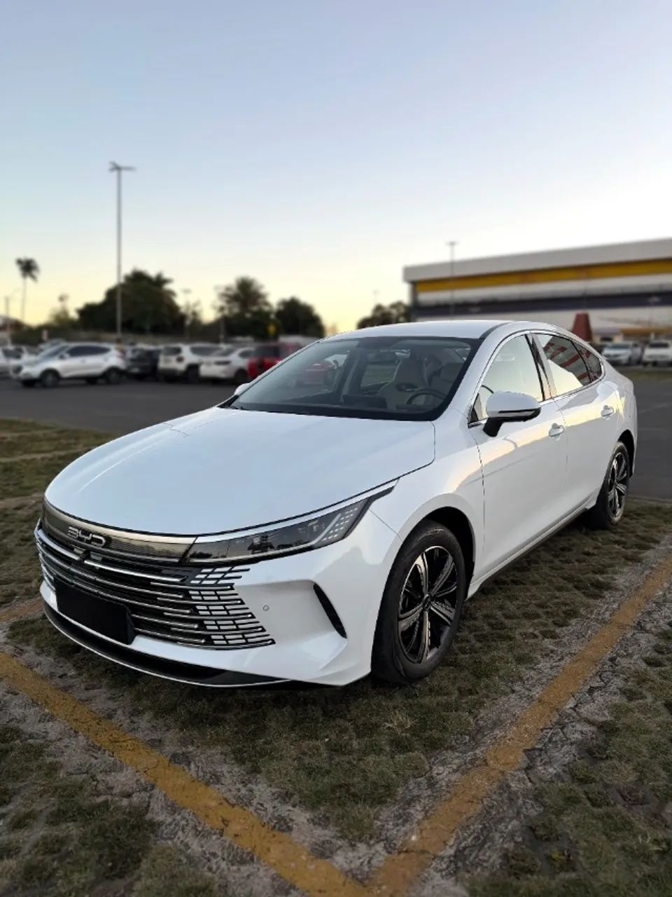BYD King 2025
