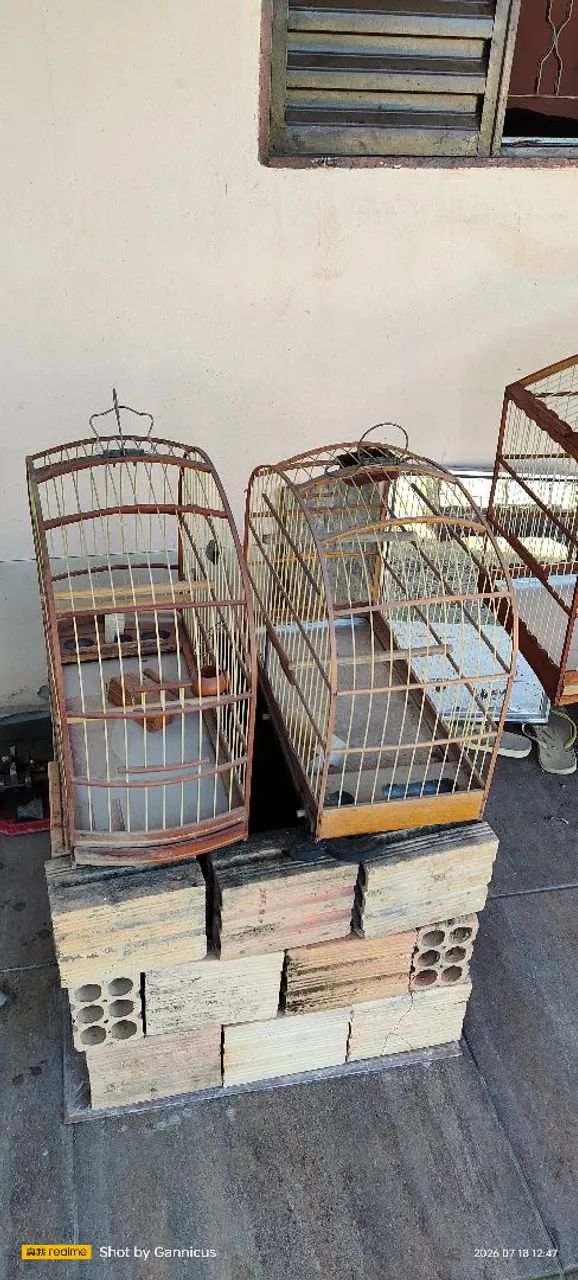 Gaiola - Foto 2